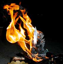 �A�O�j�z�[�g���̉�